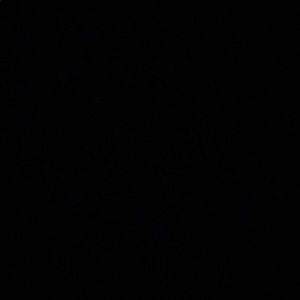 Meet your Posher, Husanmeet